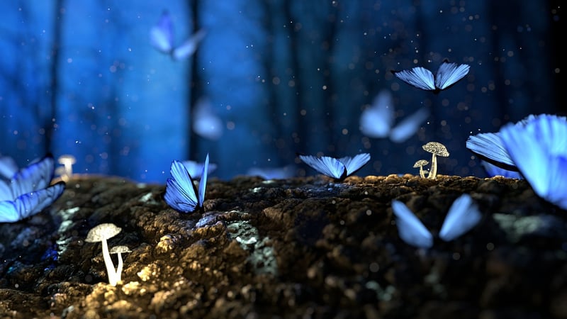 Enchanted Entities